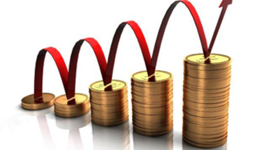 Information Services made a profit amounting to over 4M BGN in the 1st Q of 2016