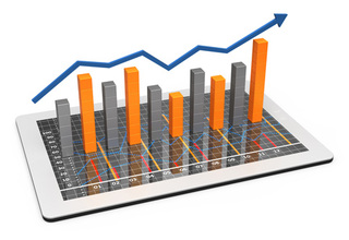 Information Services realized revenue of nearly 10M BGN for the first seven months of the year and a profit of 524K BGN