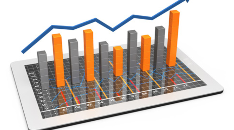 Information Services realized revenue of nearly 10M BGN for the first seven months of the year and a profit of 524K BGN